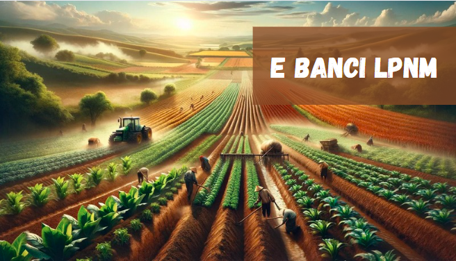 e Banci LPNM: Revolutionizing the Malaysian Banana Industry