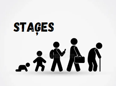 Staģes: A Comprehensive Guide to Stage-Aware Living