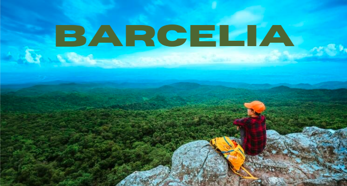 Barcelia: A Comprehensive Exploration of the Mediterranean Gem